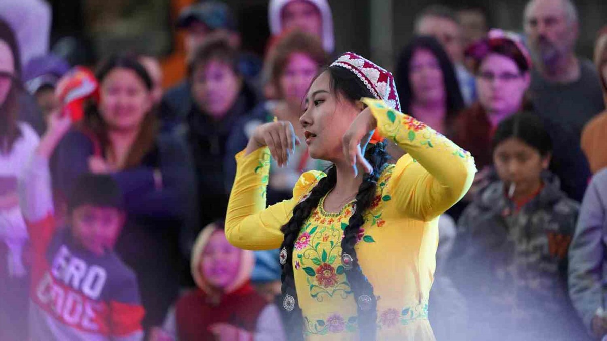 Festival of Cultures | Palmerston North City Council