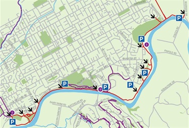 The pathway is shown in red.