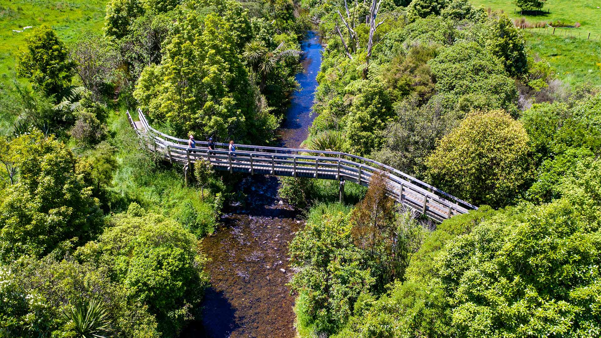 Green Corridors | Palmerston North City Council