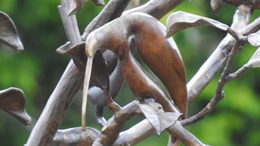 Bronze huia detail from a sculpture in the Esplanade.