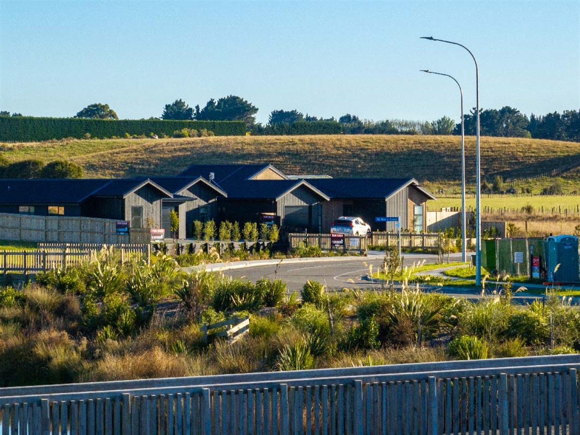 Image shows newly built houses sitting among the wetland and hills