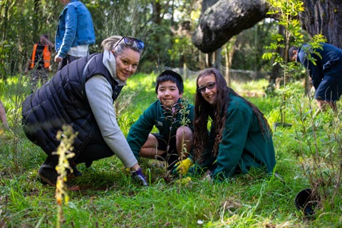 Image shows students planting trees with adults