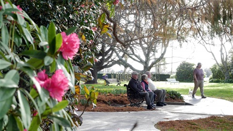 Image shows people sitting on the bench by a walkway surrounded by camellias