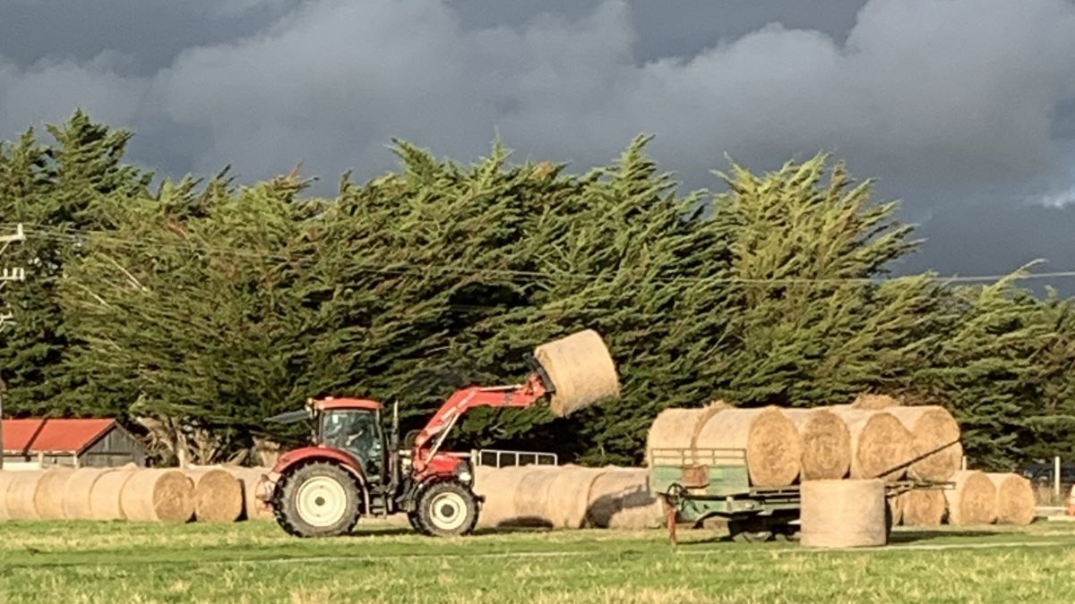 A truck stacking bales of hay at Linklater Reserve.