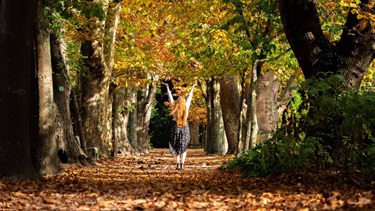 A woman with long red hair frolics among the autumn leaves.