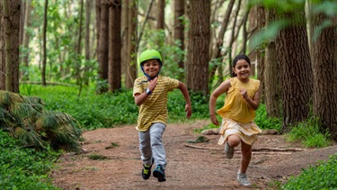 Children racing each other along a track through a grove of trees.