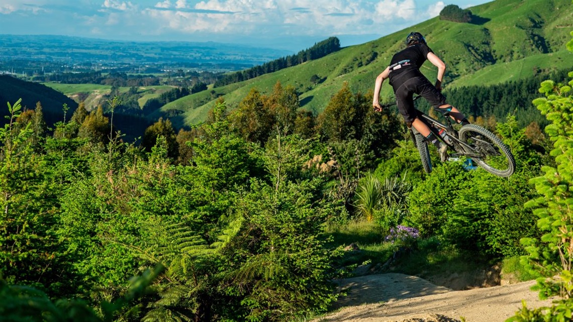 A mountain-biker in mid-flight at Arapuke Forest Park.