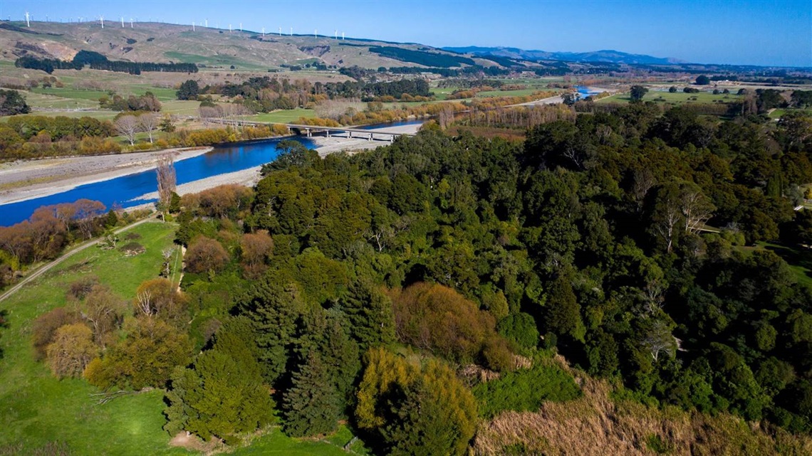 Aerial view of lush trees and the Manawatu River stretching into the distance, back towards Palmerston North.