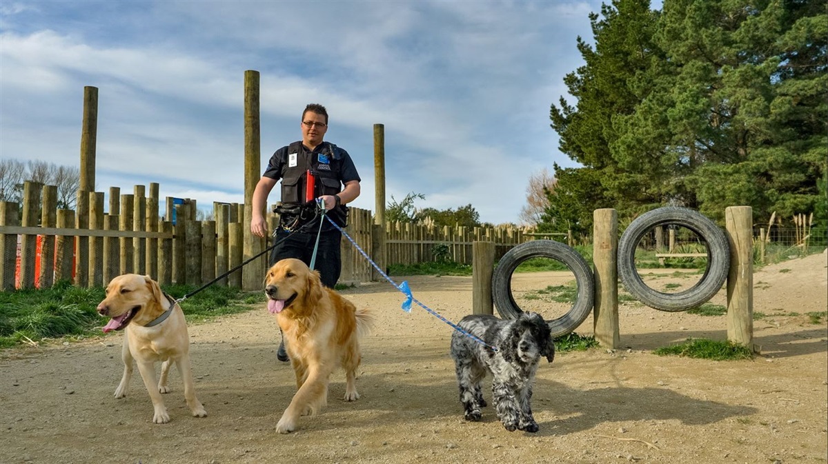 Make a complaint about a dog Palmerston North City Council