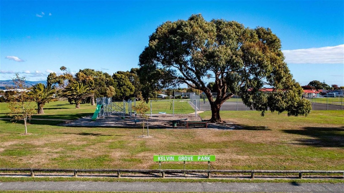 Grassy reserve with large tree providing shade for playground.