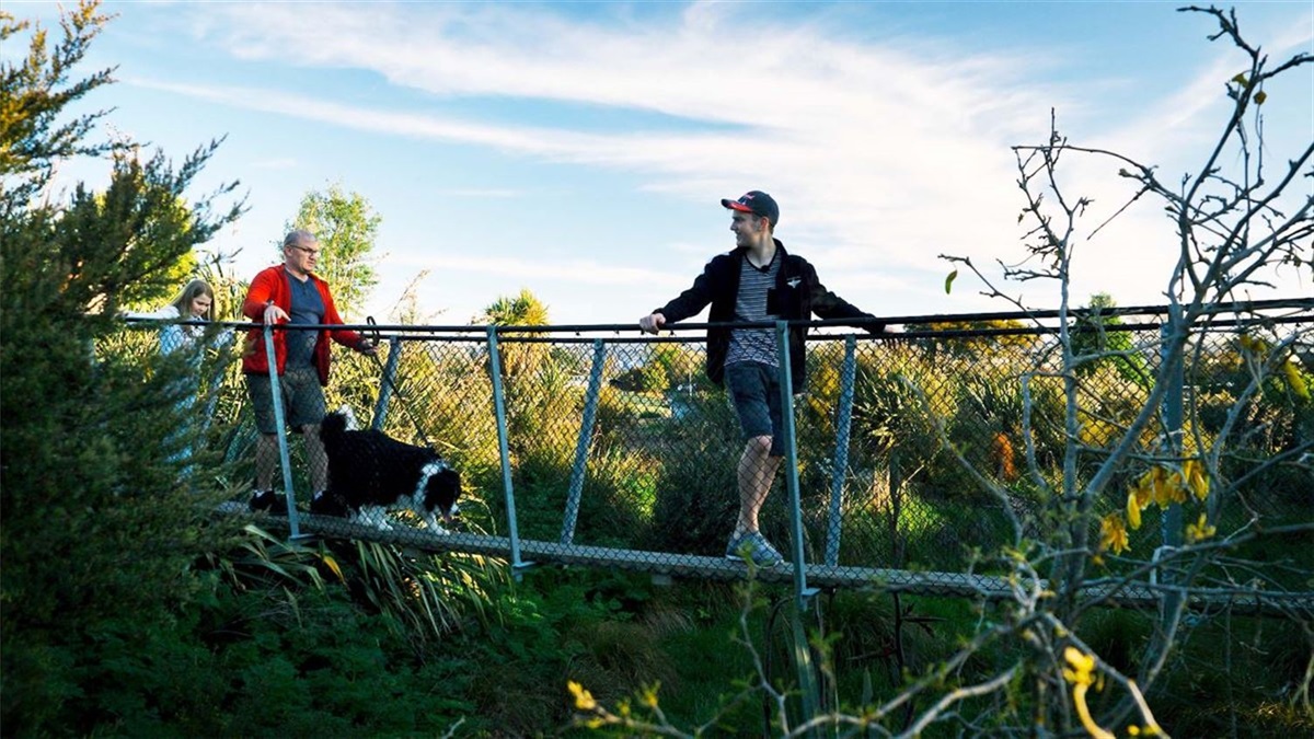 Family and dog on swingbridge over a gully planted with flax and other natives.