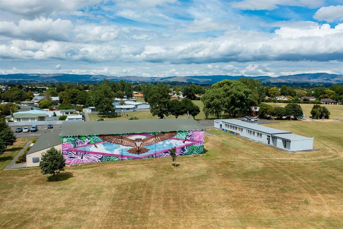 Aerial view of park showing community centre in the background.