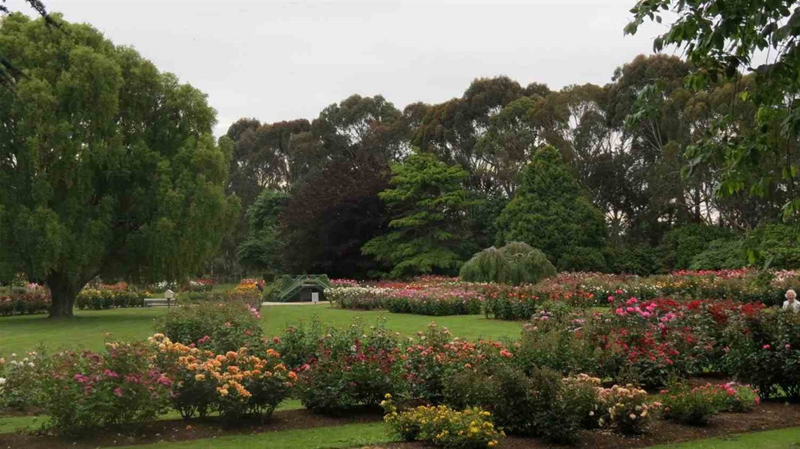 Rose beds in formal garden setting.