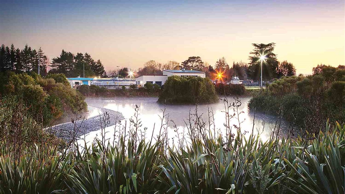 The wastewater treatment plant from the river, with wetland plants in the foreground.