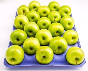 Recycled paper and card gets a new life as a fruit tray for packaging apples.